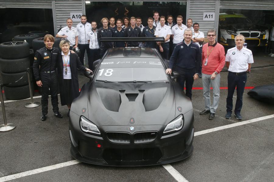 BMW M6 GT3 Art Car by Cao Fei (F13) 2017 года  (фото 15 из 15)